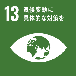 sdgs13